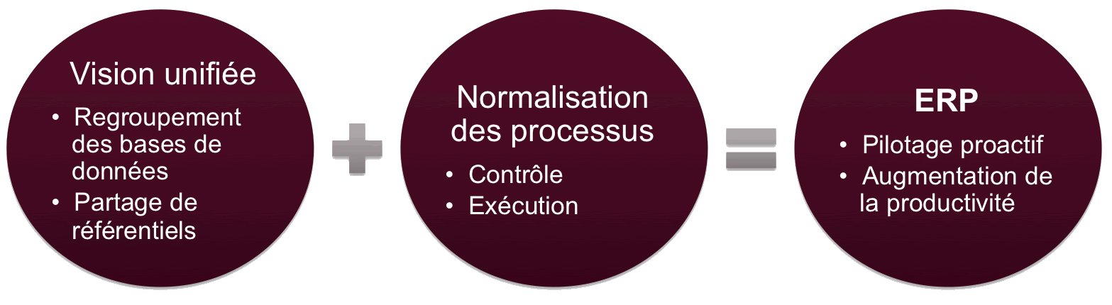 Vision unifiée + normalisation des processus = ERP